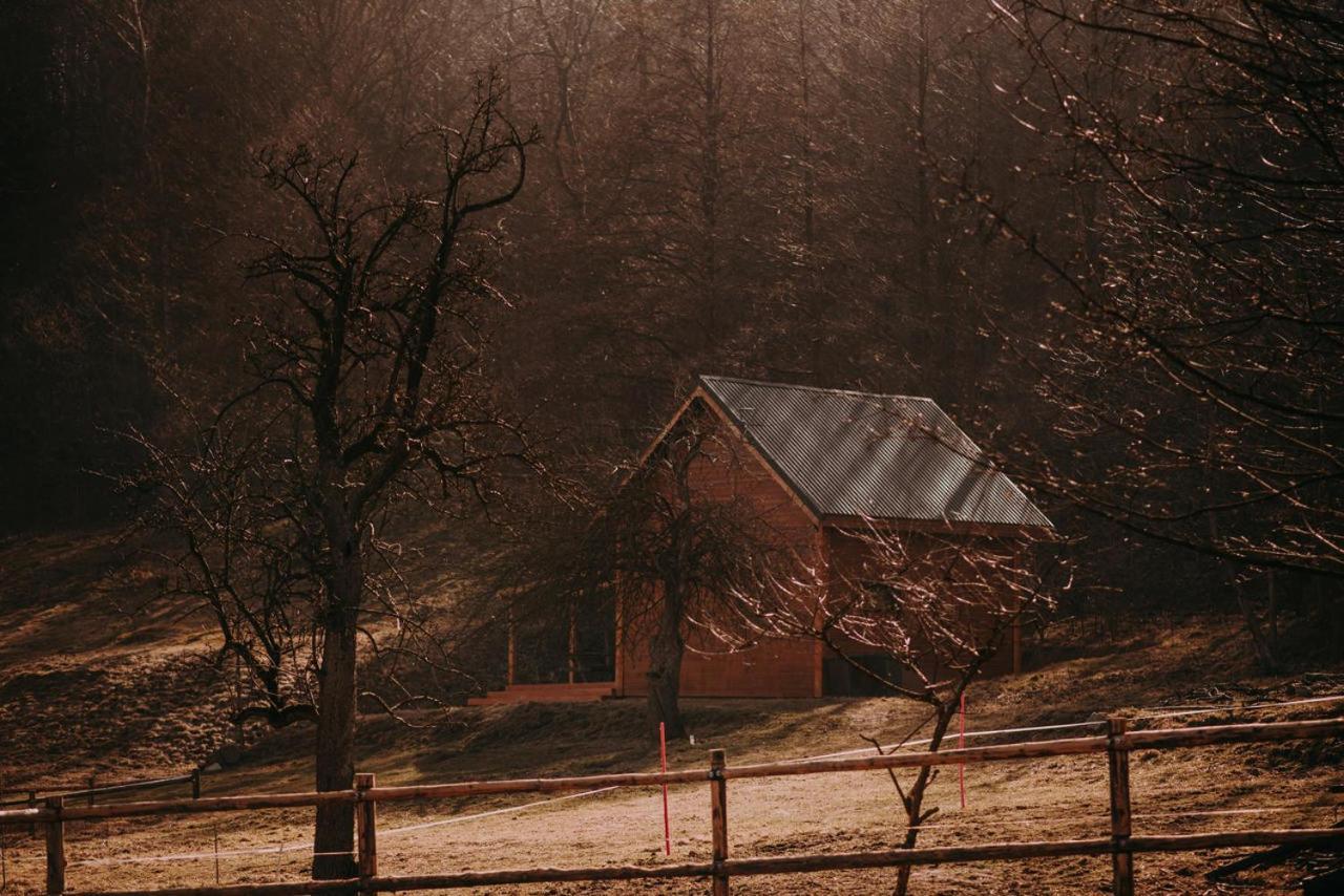 Osada Krasne - Noclegi Blisko Natury Bukowiec  Bagian luar foto