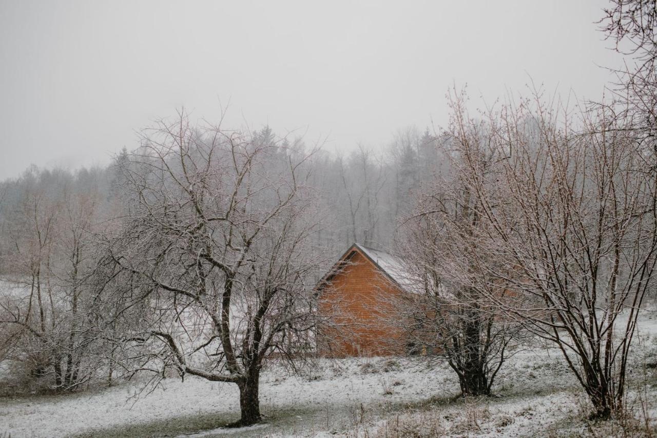 Osada Krasne - Noclegi Blisko Natury Bukowiec  Bagian luar foto
