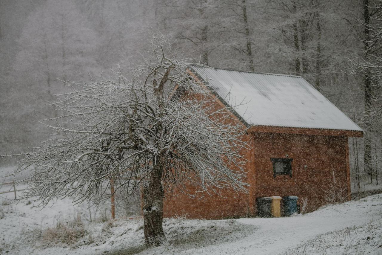 Osada Krasne - Noclegi Blisko Natury Bukowiec  Bagian luar foto