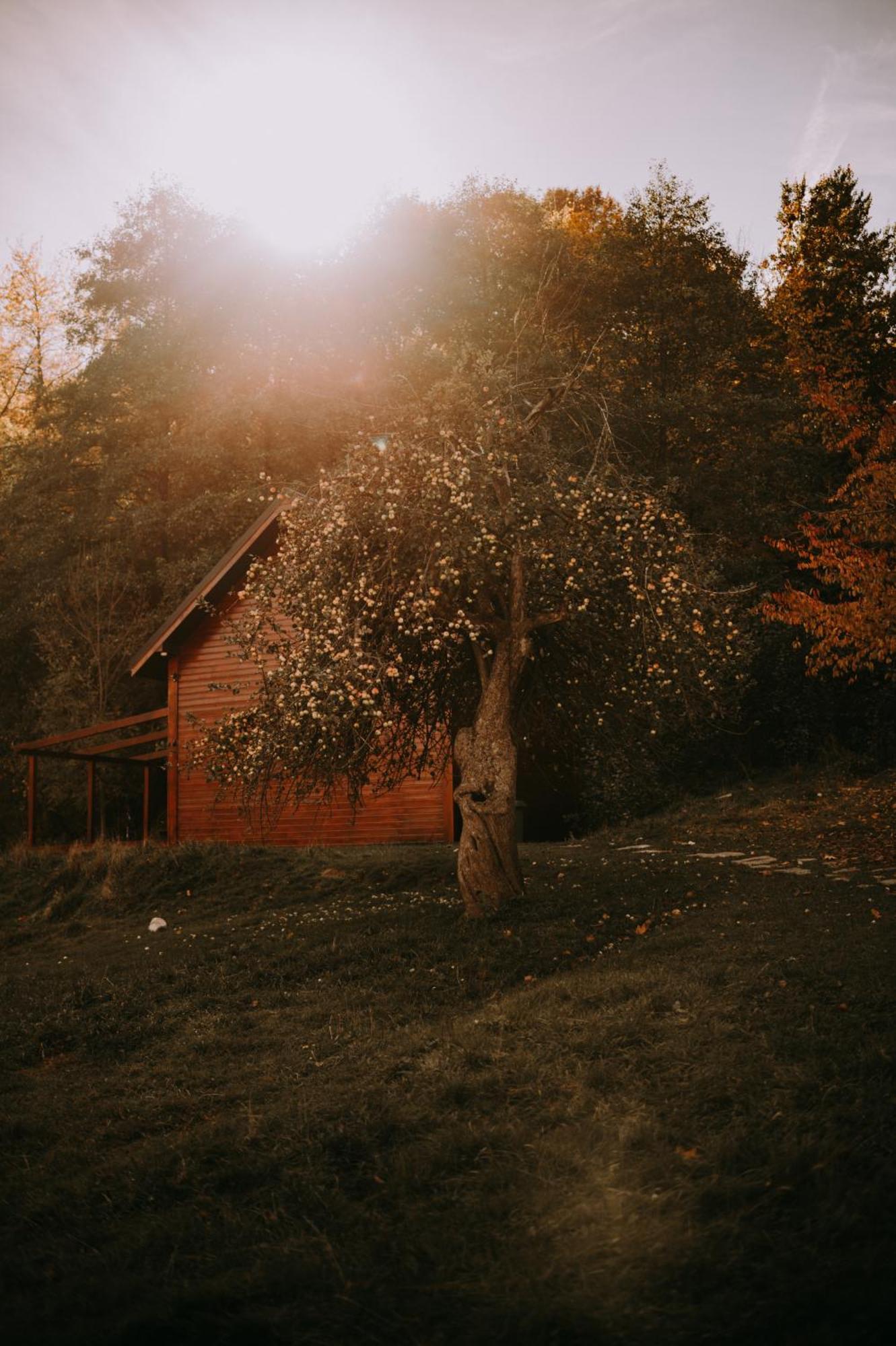 Osada Krasne - Noclegi Blisko Natury Bukowiec  Bagian luar foto